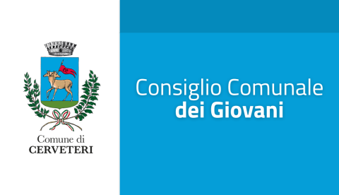 Grafica consiglio giovani