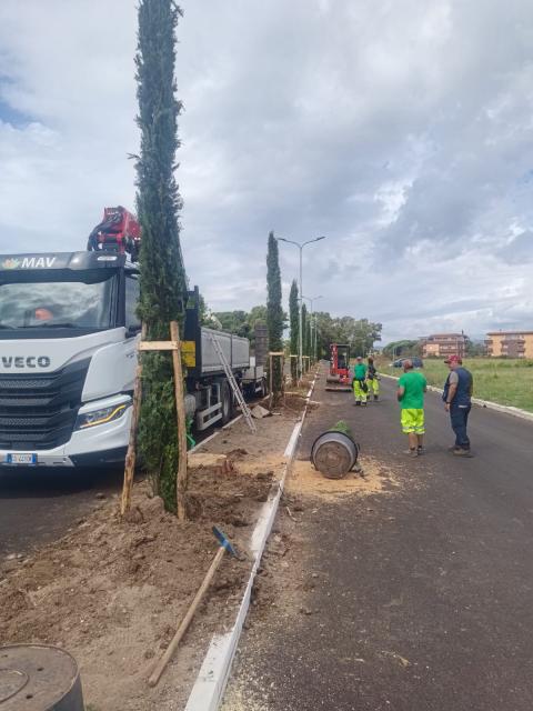 piantumazioni cerveteri