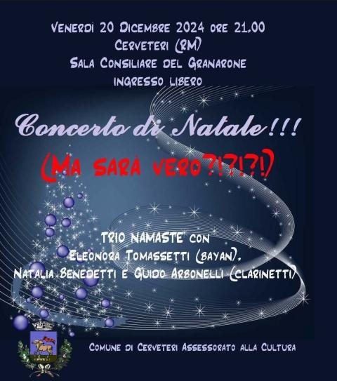 Concerto di Natale - Namastè