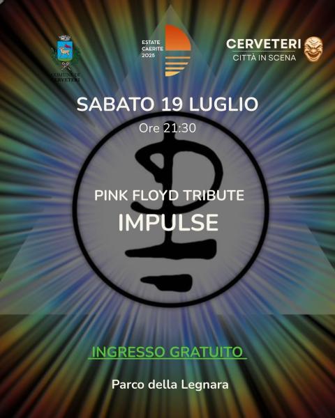 pink floyd pink floyd