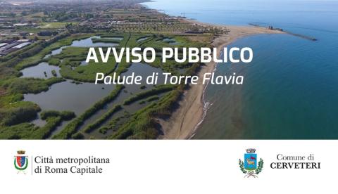 immagine d'alto della palude
