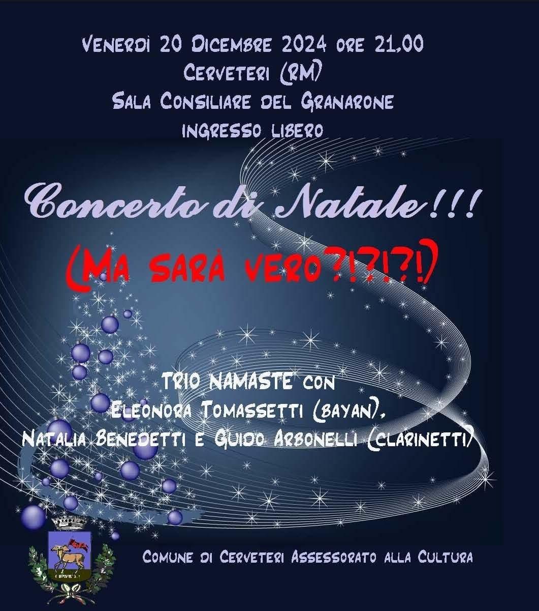 Concerto di Natale - Namastè