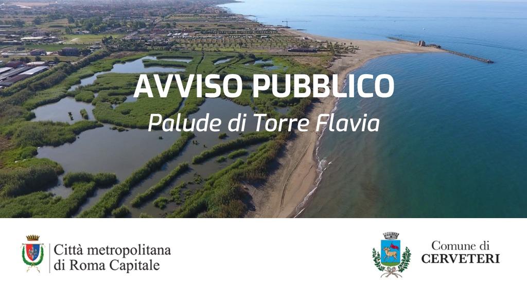 immagine d'alto della palude